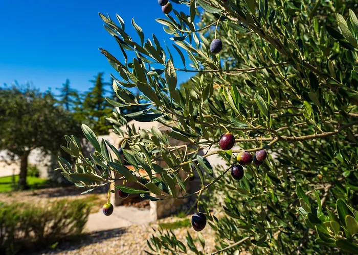 My Dalmatia - Emily With Private Pool Сasa de vacaciones *